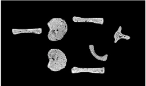 Screen Shot 2016-02-06 at 5.37.32 pm