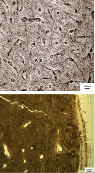 Screen Shot 2016-03-12 at 9.06.06 pm