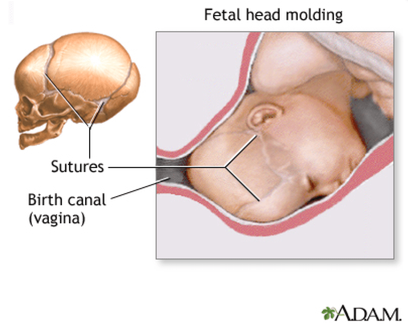 Screen Shot 2016-04-23 at 8.17.44 am