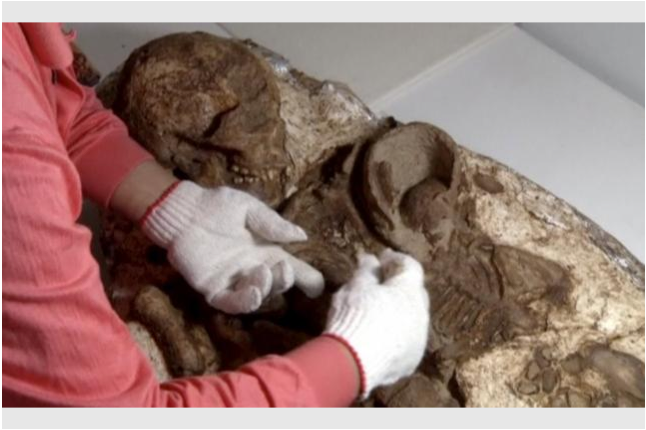 Screen Shot 2016-04-29 at 2.47.40 pm