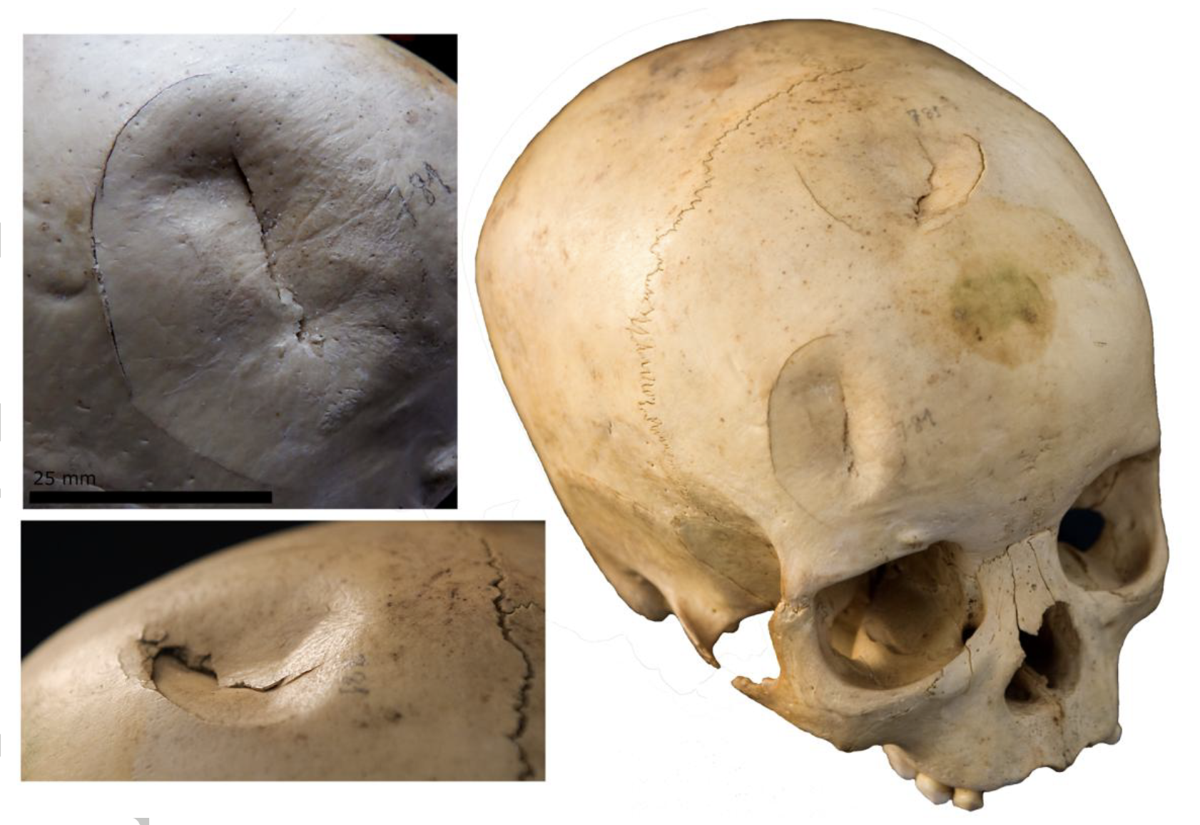 Screen Shot 2018-08-09 at 6.13.49 PM.png