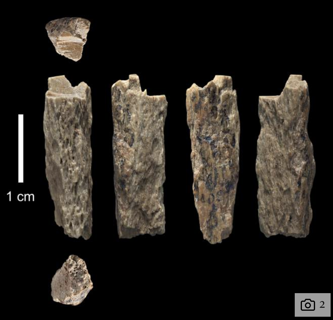 Screen Shot 2018-08-23 at 6.41.26 PM.png