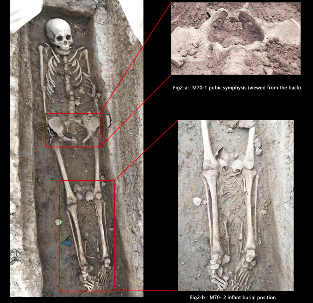 Screen Shot 2019-11-22 at 8.38.11 PM.png